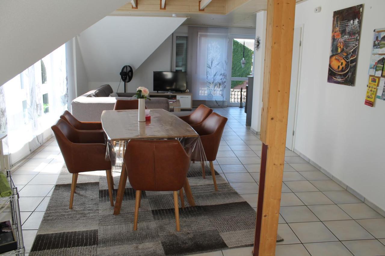 Frankenstrasse Apartment